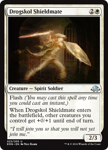 Drogskol Shieldmate (Foil)