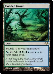 Flooded Grove Flooded Grove