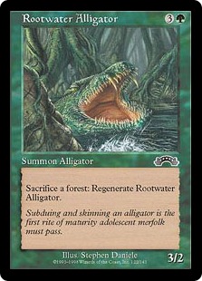 Rootwater Alligator Rootwater Alligator