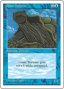 Giant Tortoise Giant Tortoise