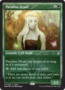 Paradise Druid