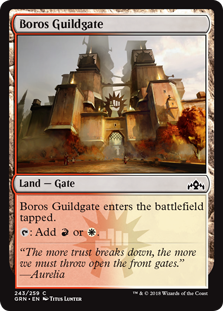 Boros Guildgate (243) (Foil)