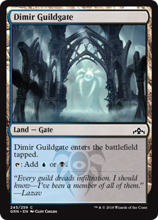Dimir Guildgate (245) (Foil)