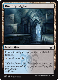 Dimir Guildgate (246) (Foil)