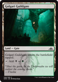 Golgari Guildgate (248) (Foil)