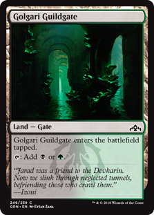 Golgari Guildgate (249) (Foil)