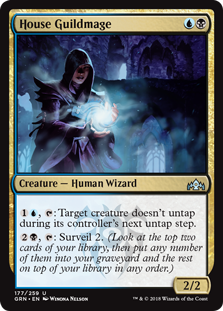 House Guildmage (Foil)