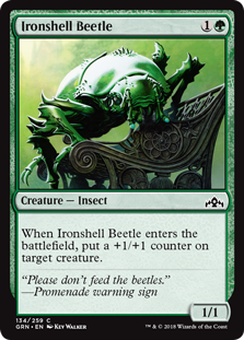 Ironshell Beetle (Foil)