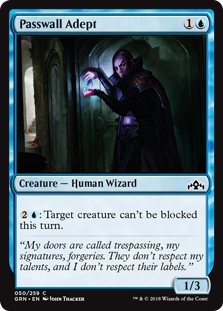 Passwall Adept (Foil)