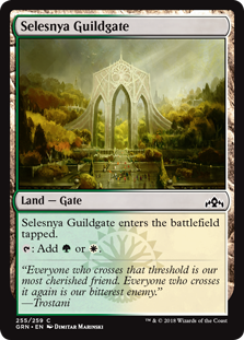Selesnya Guildgate (255) (Foil)