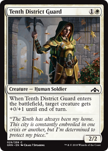 Tenth District Guard (Foil)