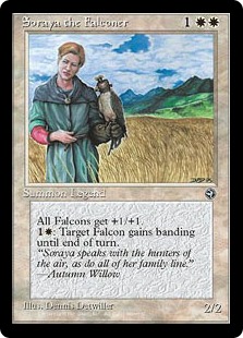 Soraya the Falconer Soraya the Falconer