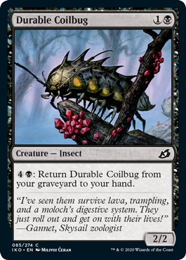 Durable Coilbug Durable Coilbug