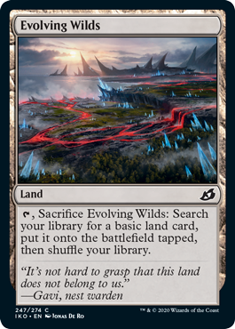 Evolving Wilds Evolving Wilds