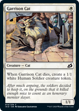 Garrison Cat Garrison Cat