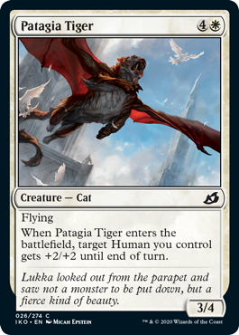 Patagia Tiger Patagia Tiger