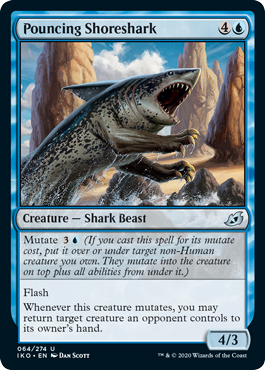 Pouncing Shoreshark Pouncing Shoreshark