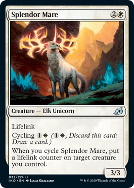 Splendor Mare Splendor Mare