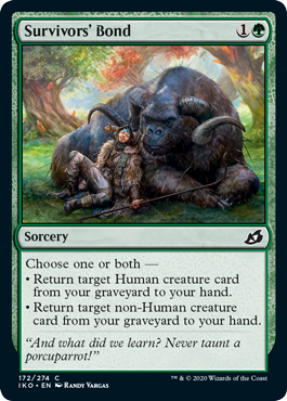 Survivors' Bond Survivors' Bond