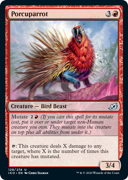 Porcuparrot (Foil)