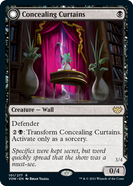 Concealing Curtains (Foil)
