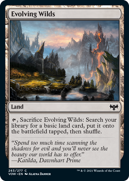 Evolving Wilds (Foil)
