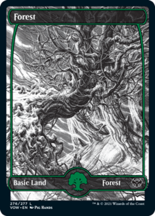 Forest (276) (Foil)
