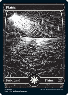 Plains (269) (Foil)