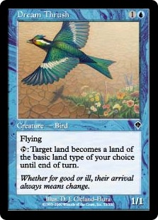 Dream Thrush Dream Thrush