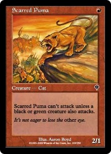 Scarred Puma