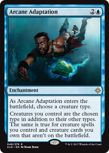Arcane Adaptation (Foil)