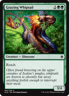 Grazing Whiptail (Foil) Grazing Whiptail (Foil)