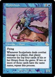 Scalpelexis Scalpelexis