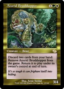 Anurid Brushhopper (Foil)