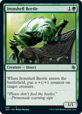 Ironshell Beetle Ironshell Beetle
