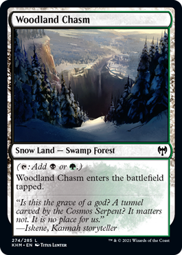 Woodland Chasm (Foil) Woodland Chasm (Foil)
