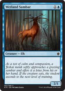 Wetland Sambar (Foil)