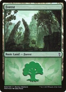 Forest - Gruul (B08)