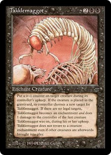Takklemaggot