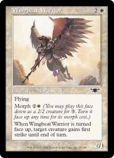 Wingbeat Warrior (Foil)