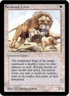 Savannah Lions Savannah Lions