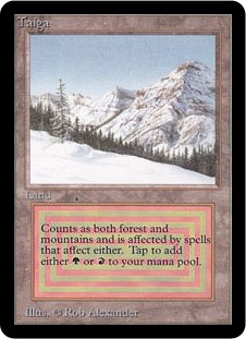 Taiga Taiga