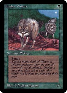 Timber Wolves Timber Wolves