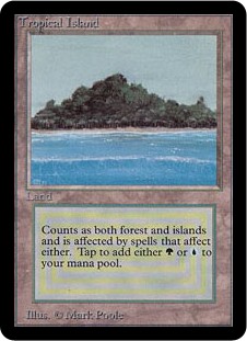 Tropical Island Tropical Island
