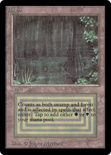 Bayou Bayou