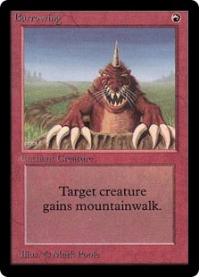 Burrowing Burrowing