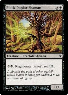 Black Poplar Shaman
