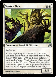 Sentry Oak