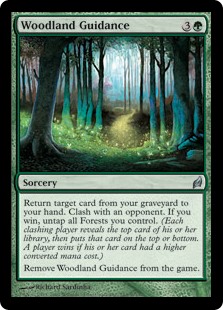 Woodland Guidance (Foil)