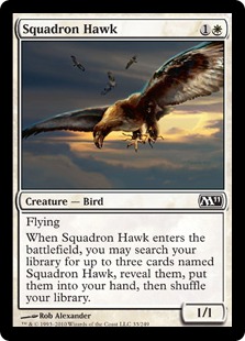 Squadron Hawk Squadron Hawk